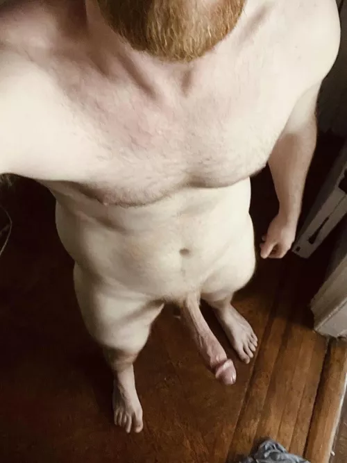 Just got home… Would you greet me by bending over or getting on your knees?