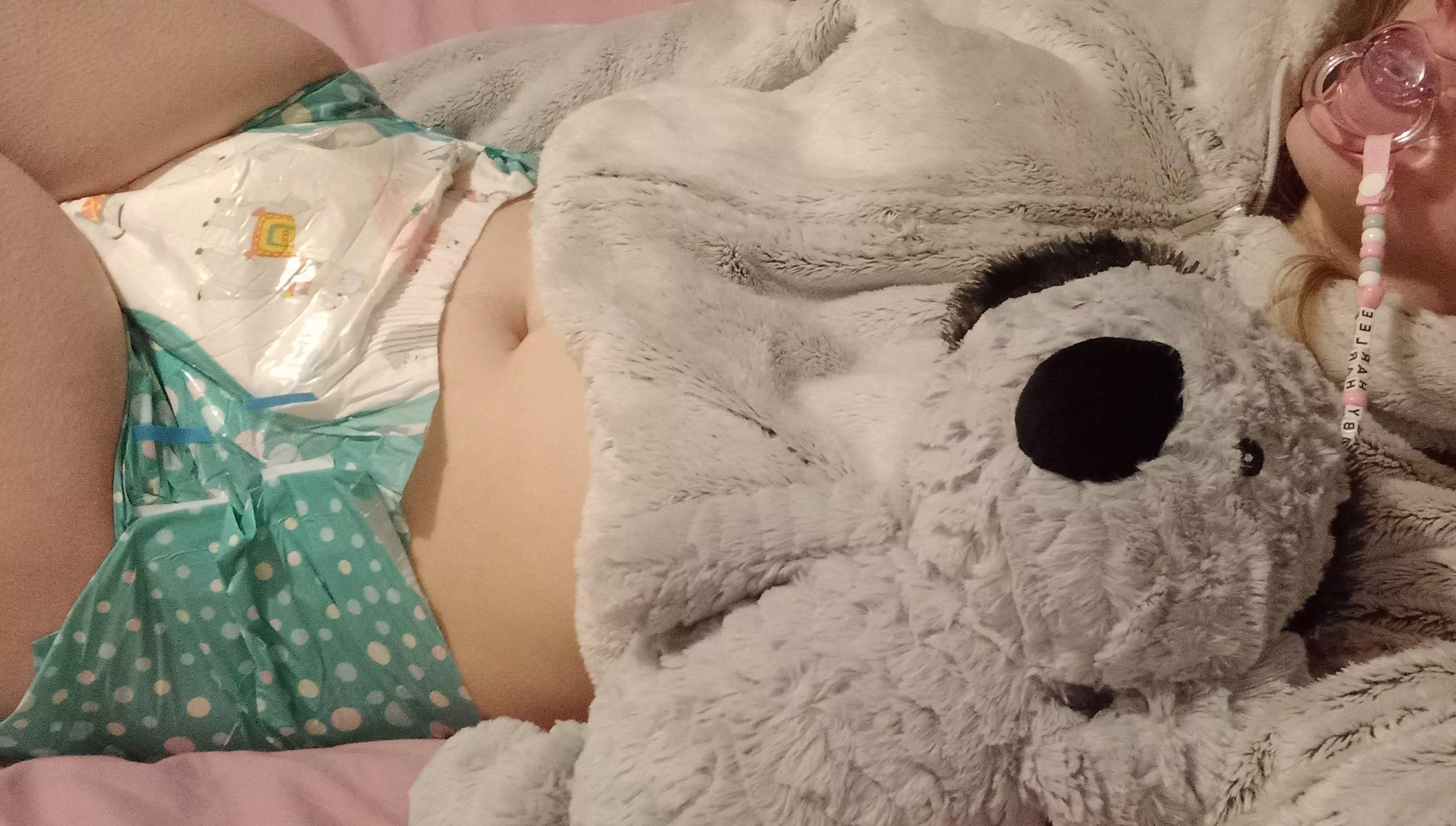 Meet Toowoomba, he's a cheeky koala boy! 🐨