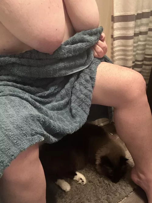 My very elusive kitty