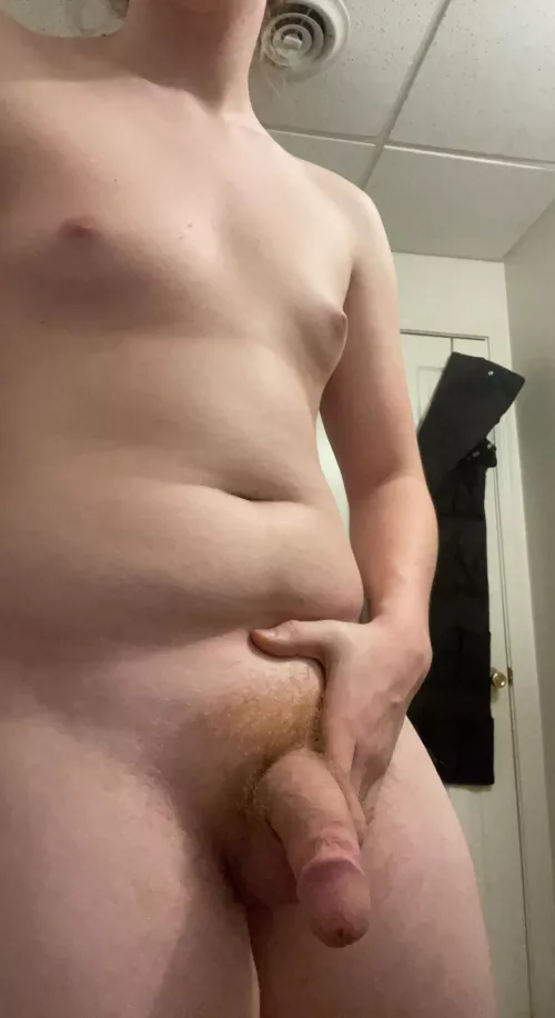 New bear in town 🐻