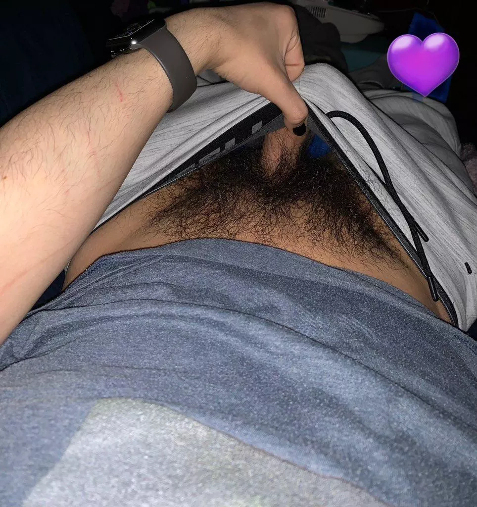 Nice day for a hairy pic 😉