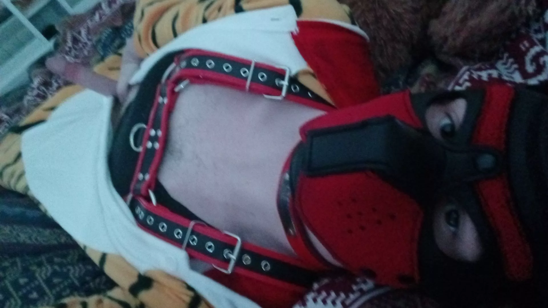 Puppy got a bone to bury