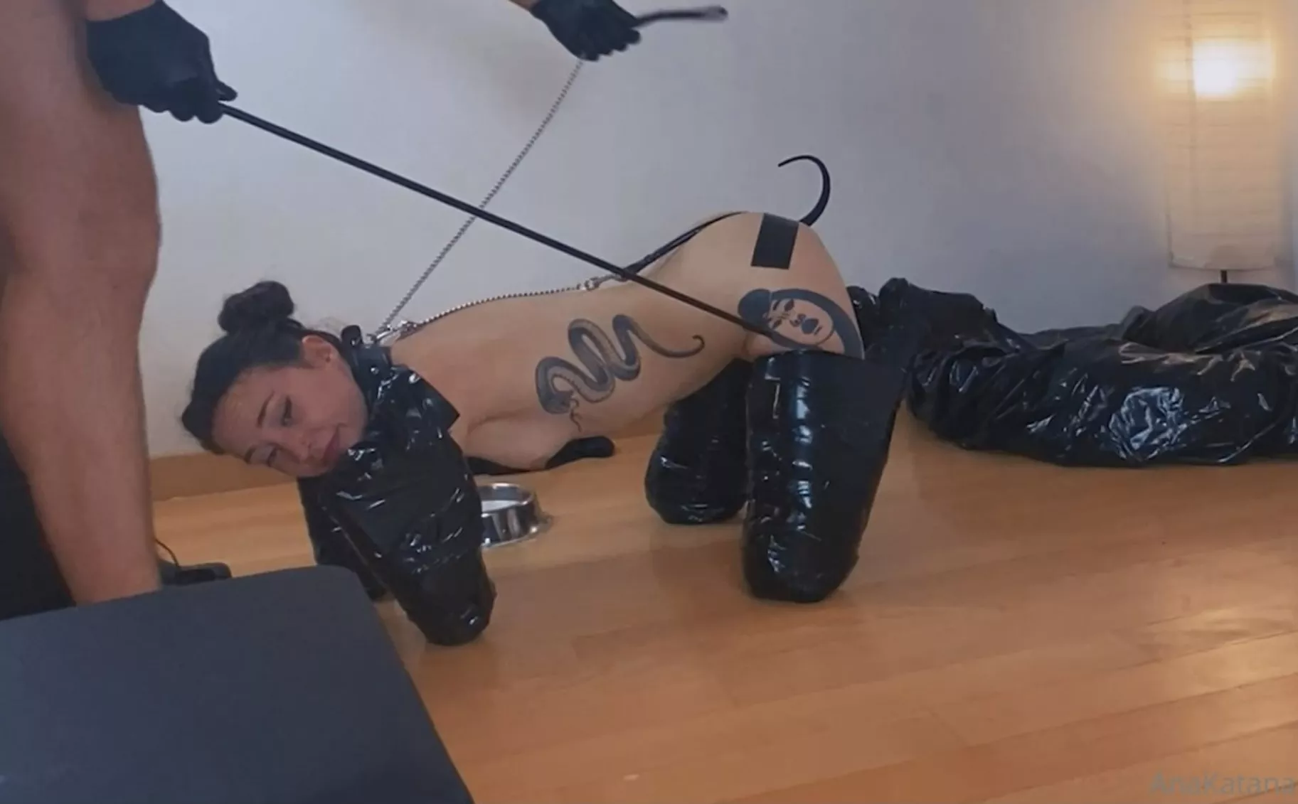 Shiny fuckpet ready for a walk or a fuck!