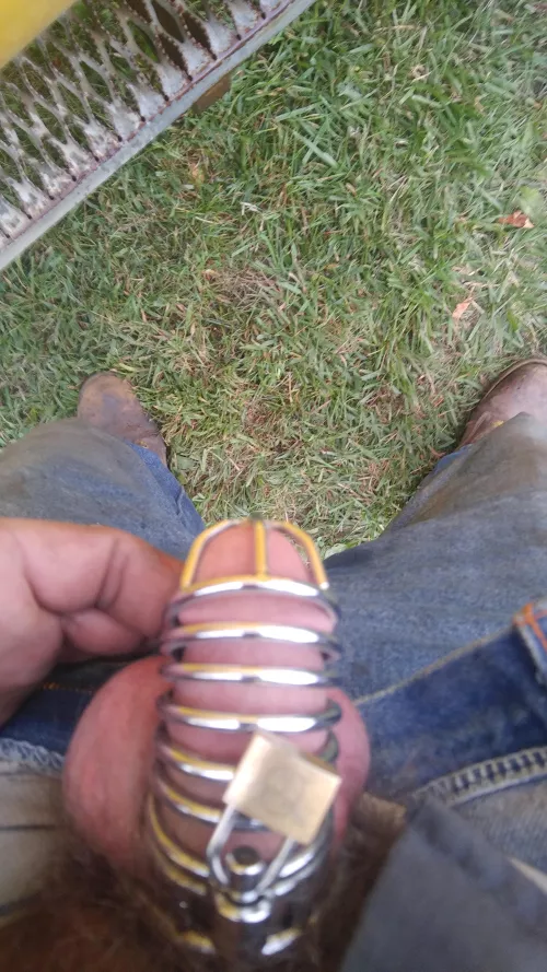 should I get a smaller cage