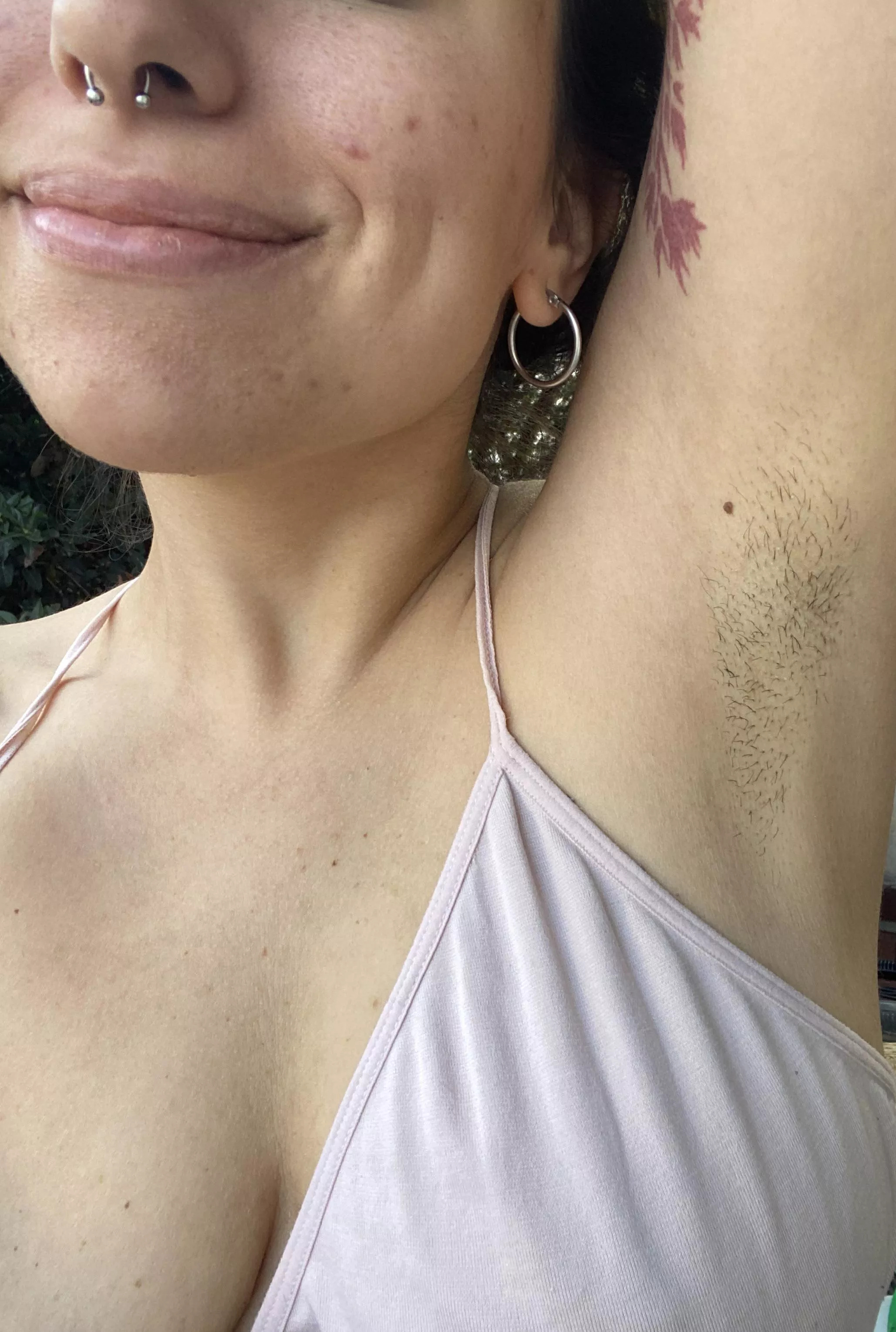 Should I let them grow this summer?