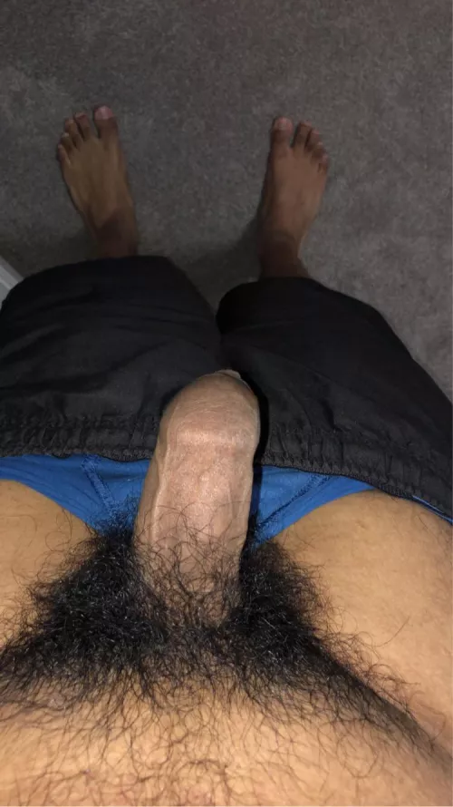 Small hairy Indian cock