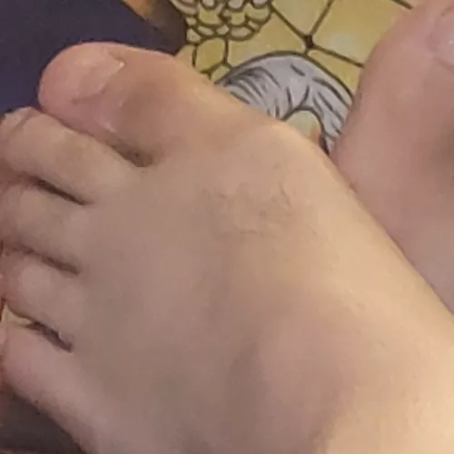 Solly Dragon pillow More here https://app.feetfinder.com/userProfile/kiltedguy2