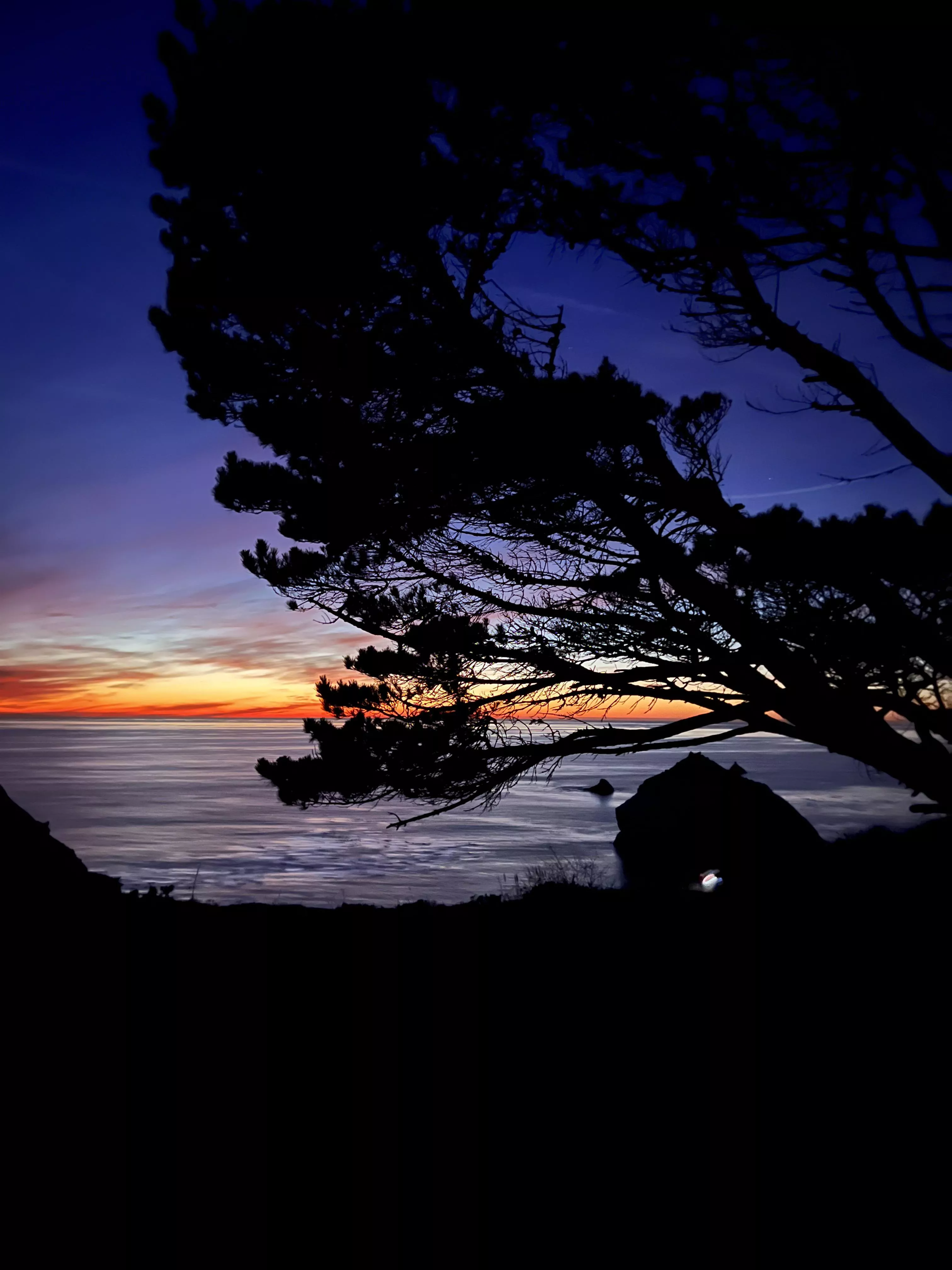 Sunset w/Monterey Cypress