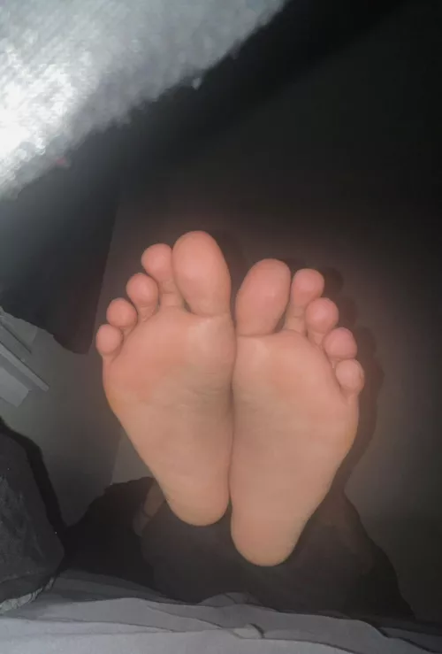 They need a good sniff