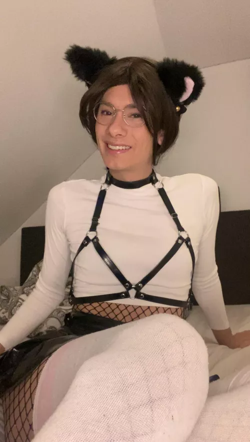 Time to cuddle but with who?