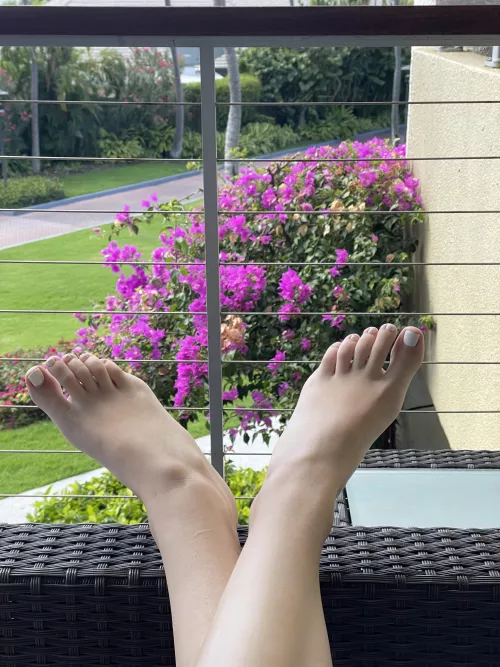 use them as you please