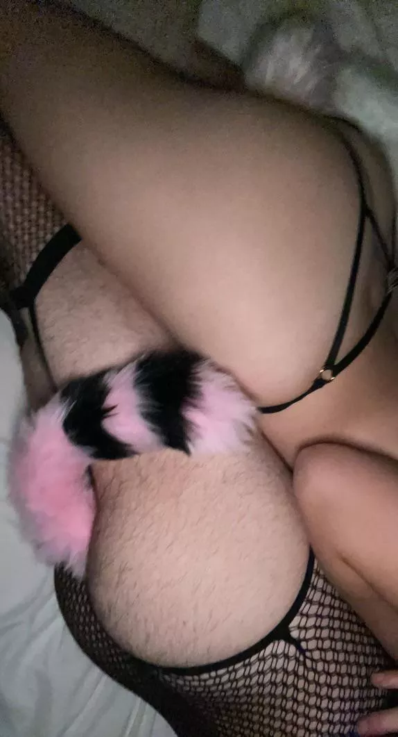 we both love having tails in!