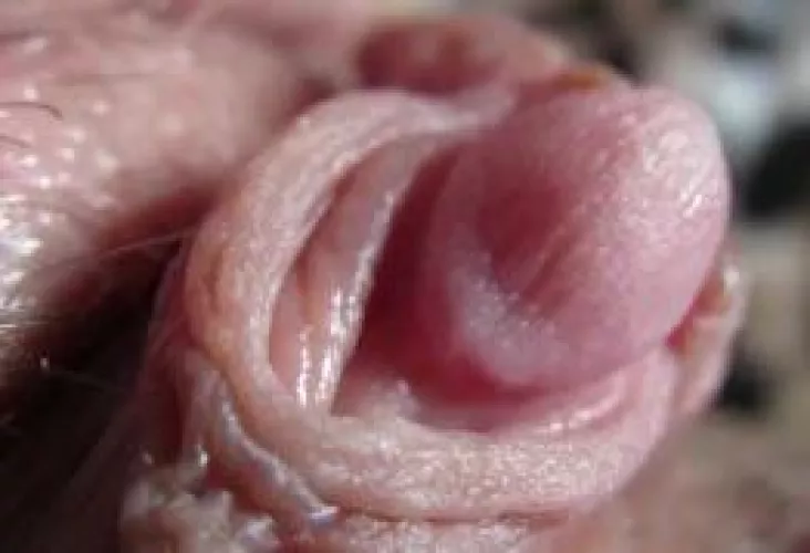 What would you do to my clit if I was completely bound down with my legs spread wide right in front of you