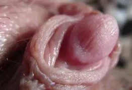 What would you do to my clit if I was completely bound down with my legs spread wide right in front of you