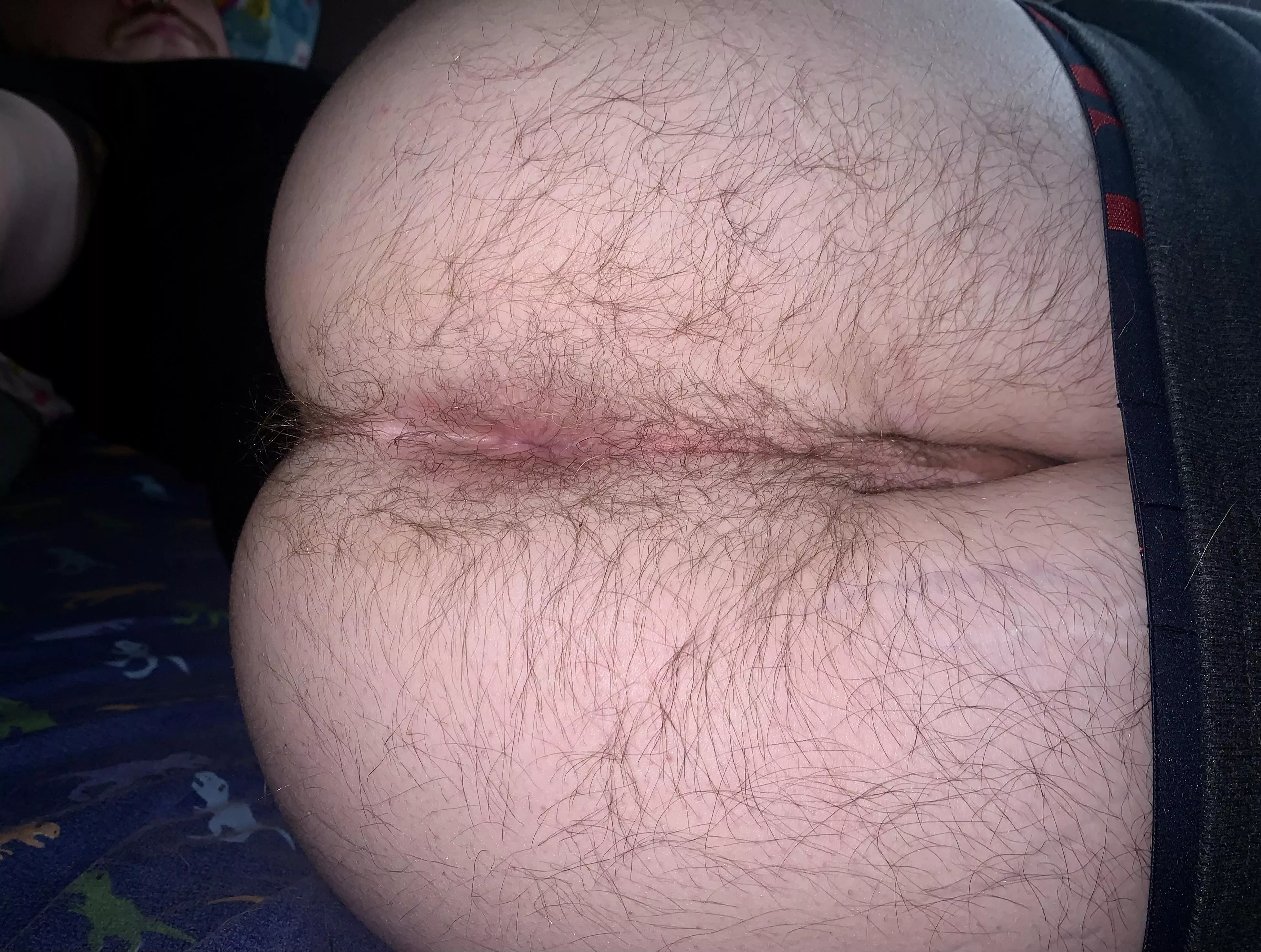 What’s your favorite dinosaur