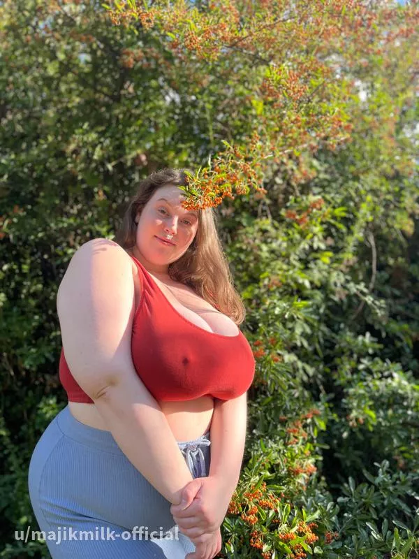 Would you like to take photos of me?