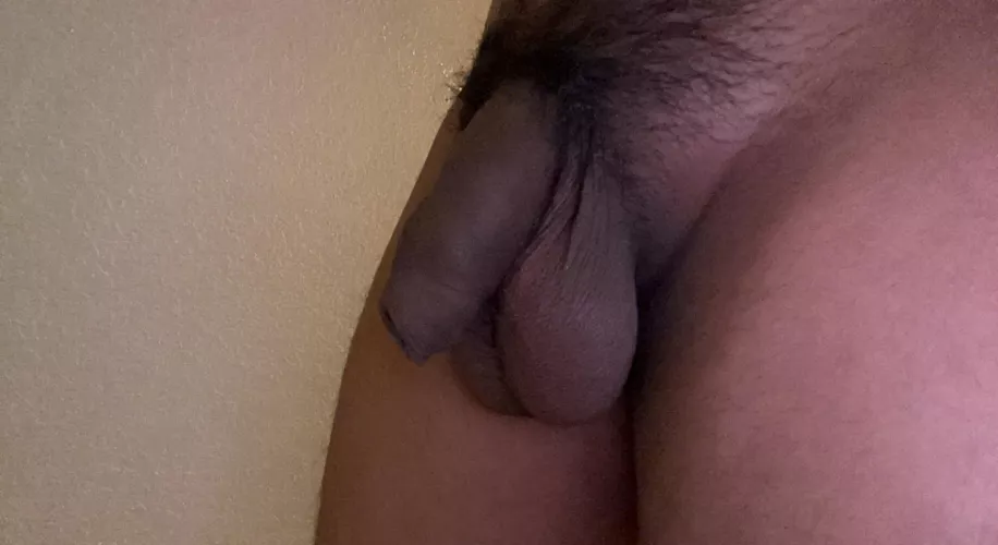 18 latino softie