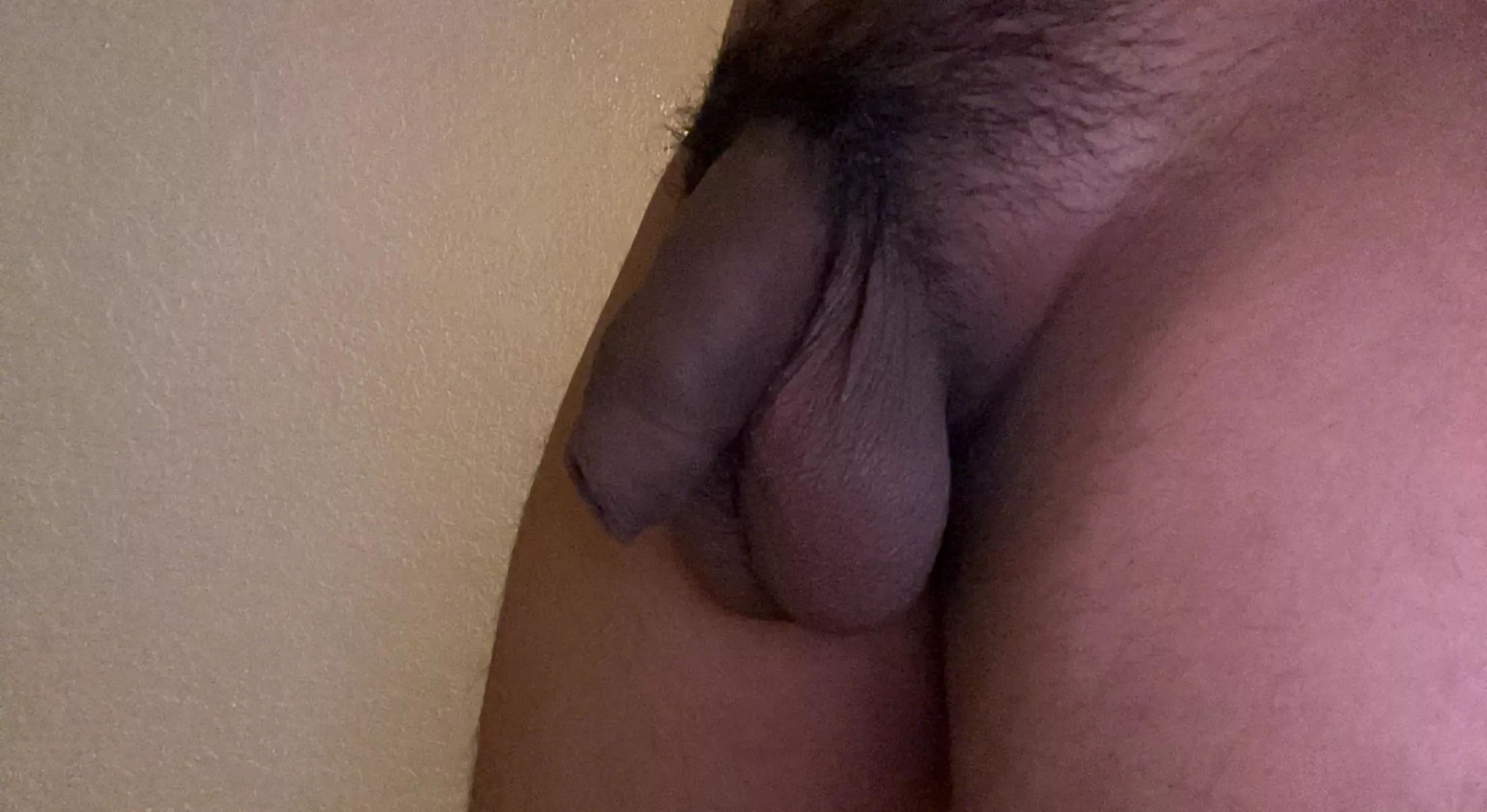 18 latino softie