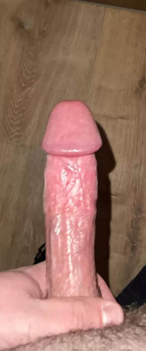 23M4A, im a virgin and want some head for the first time