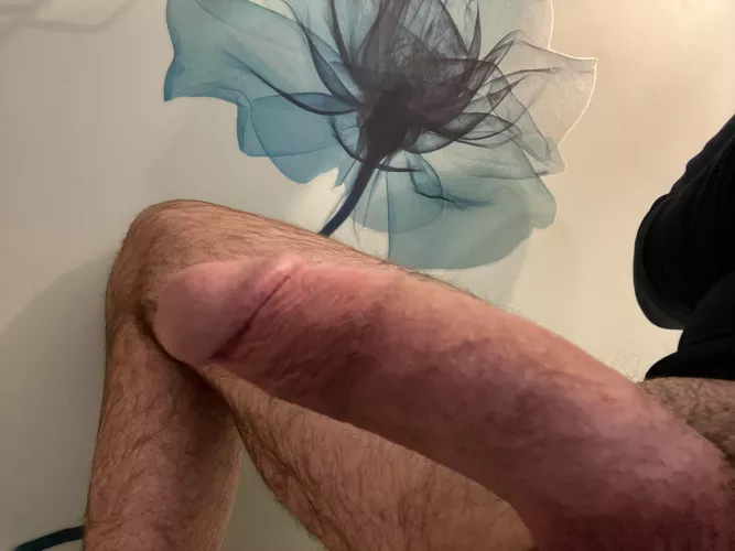 [46] happy new year!