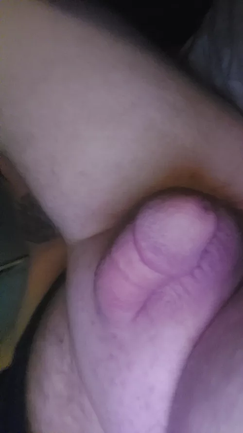 49m chub..been up all night..spun and so fucking horny..video chat with me I will do whatever you want..need to cum..sc..bill22299