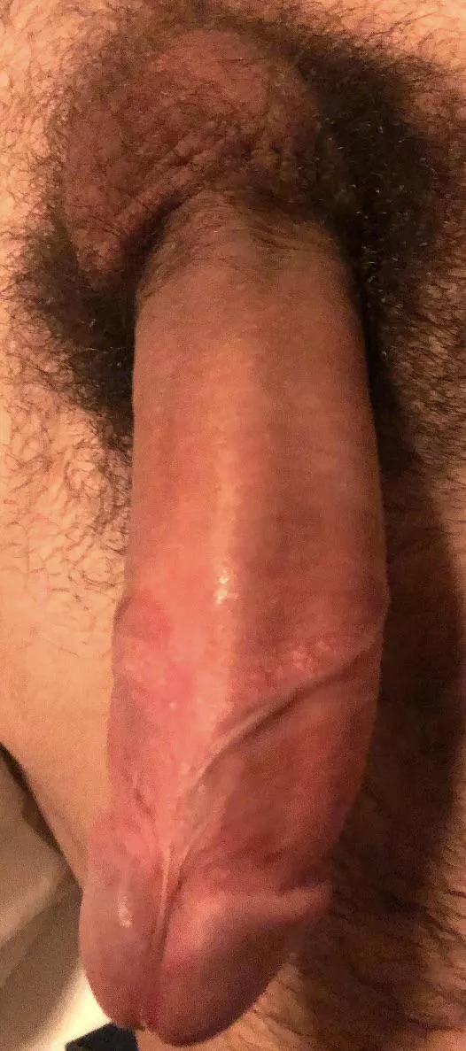 Anybody wanna be my cumdump?