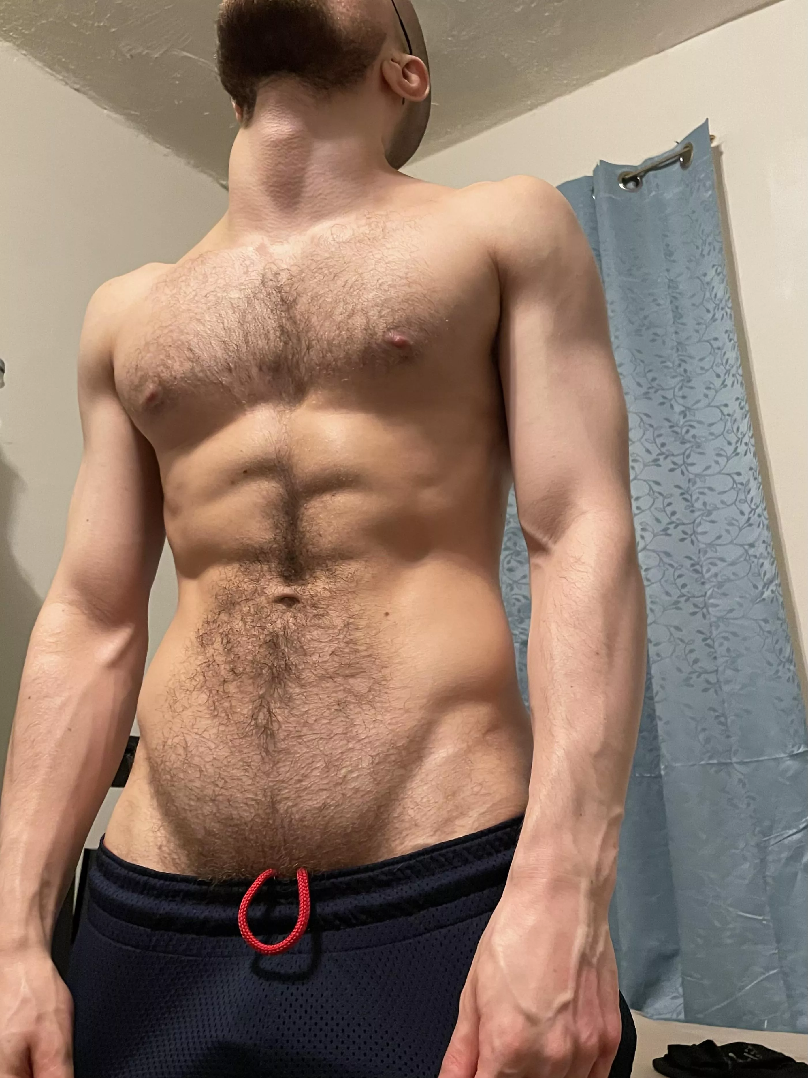 Brush growing in for winter