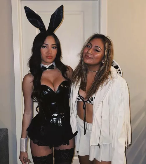 Bunny and cow