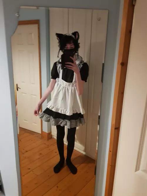 Catboy Maid
