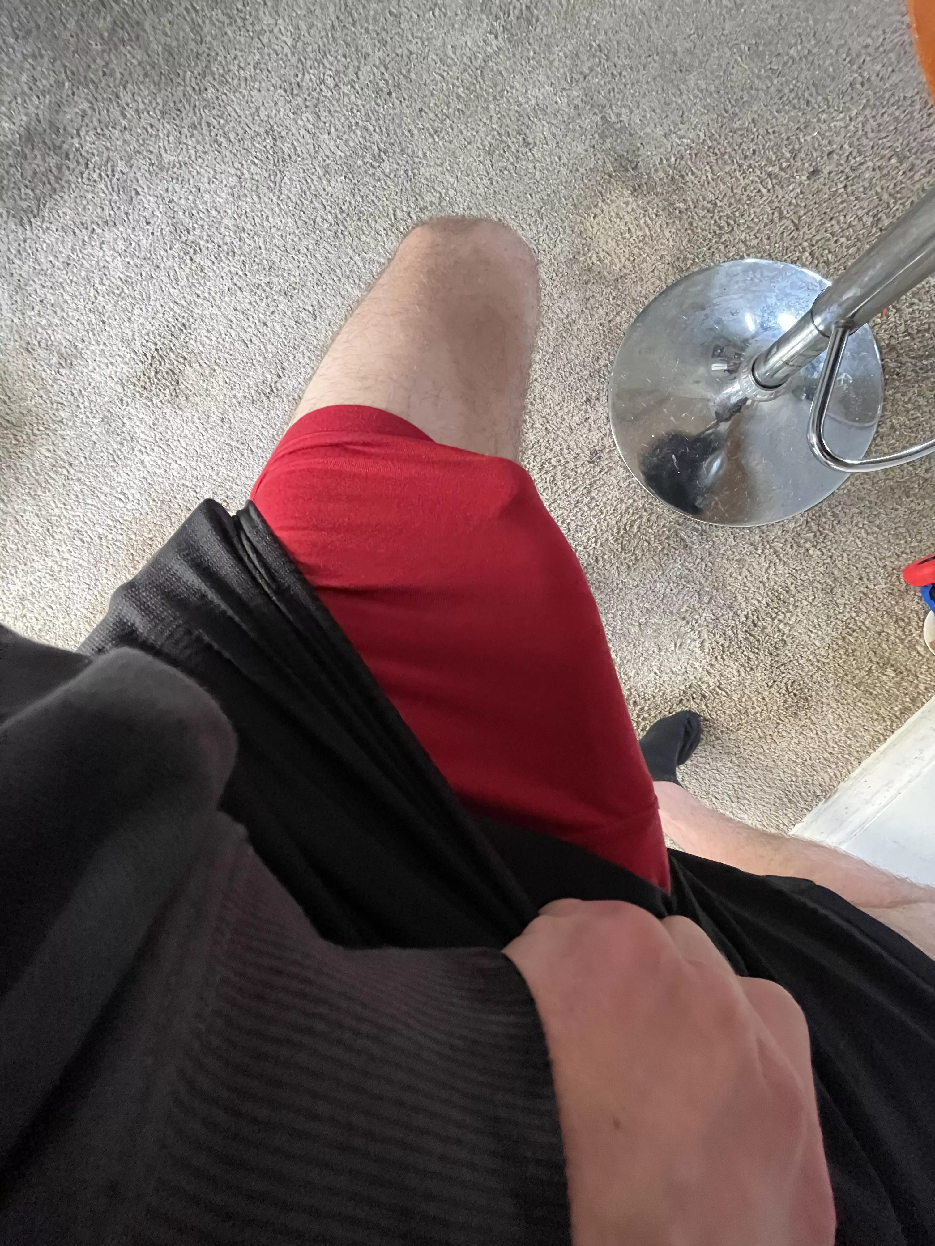 Do you like that bulls outline?