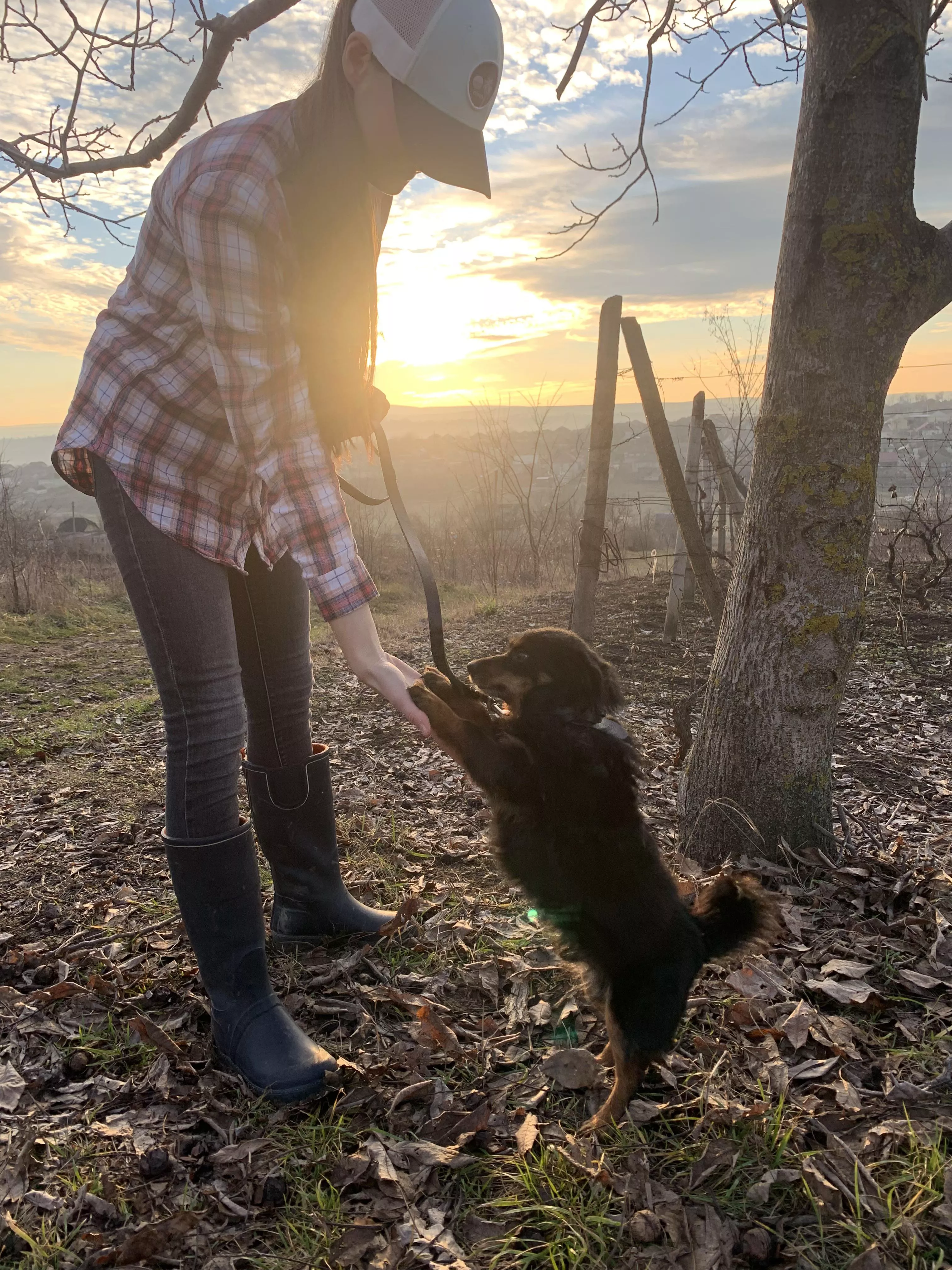 (f) Happy New Year from my dog and me !!