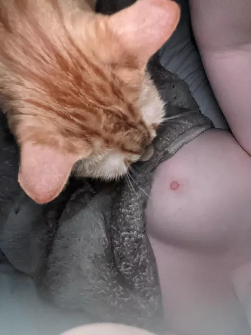 Hey Mom. What is that?