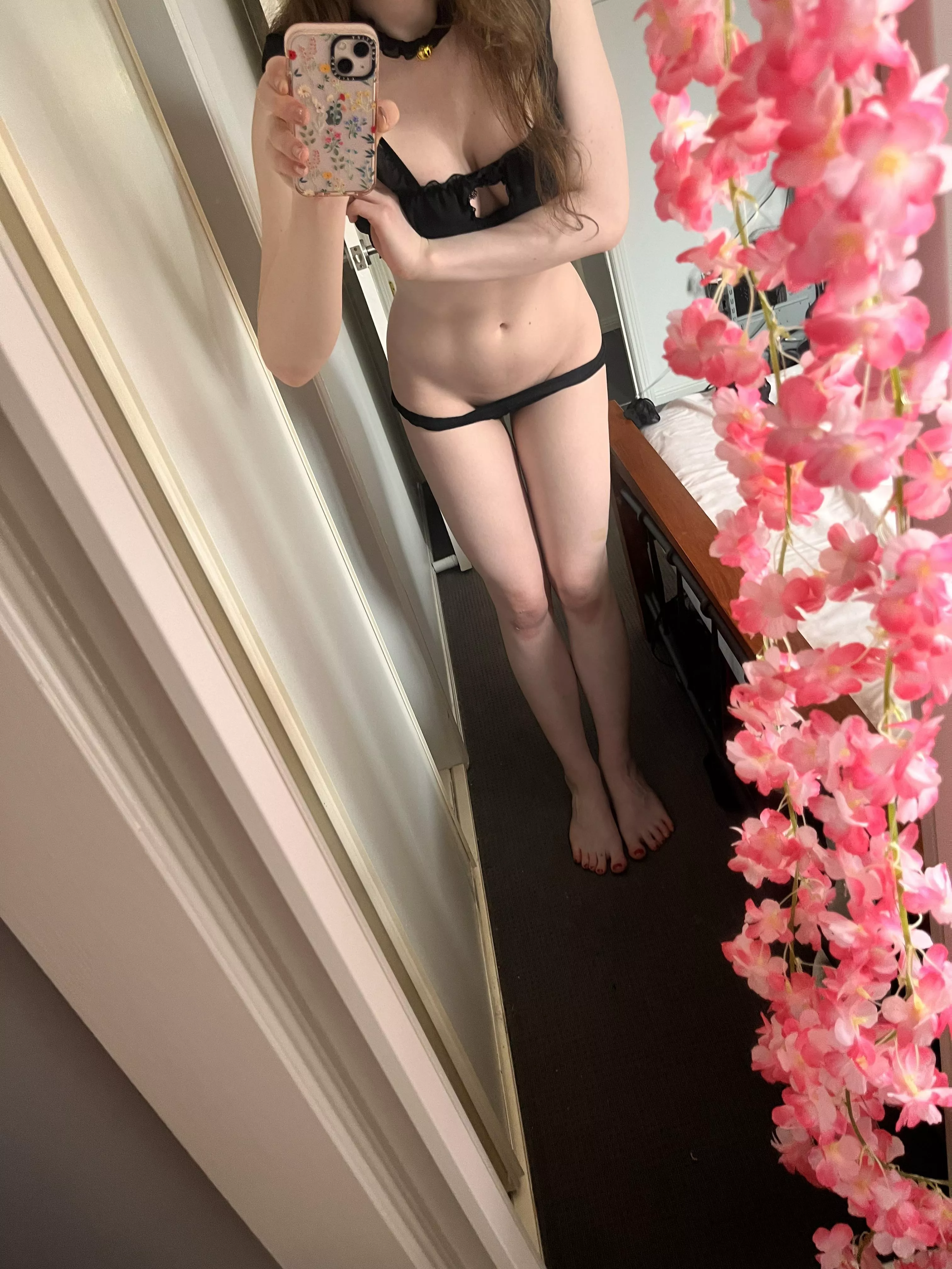 I can haz head pats? Meow Meow😻