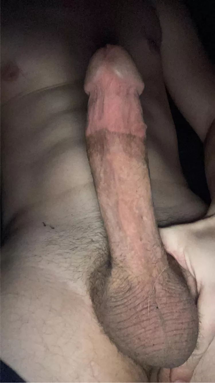 I woke up hard, did you wake up wanting to suck cock?