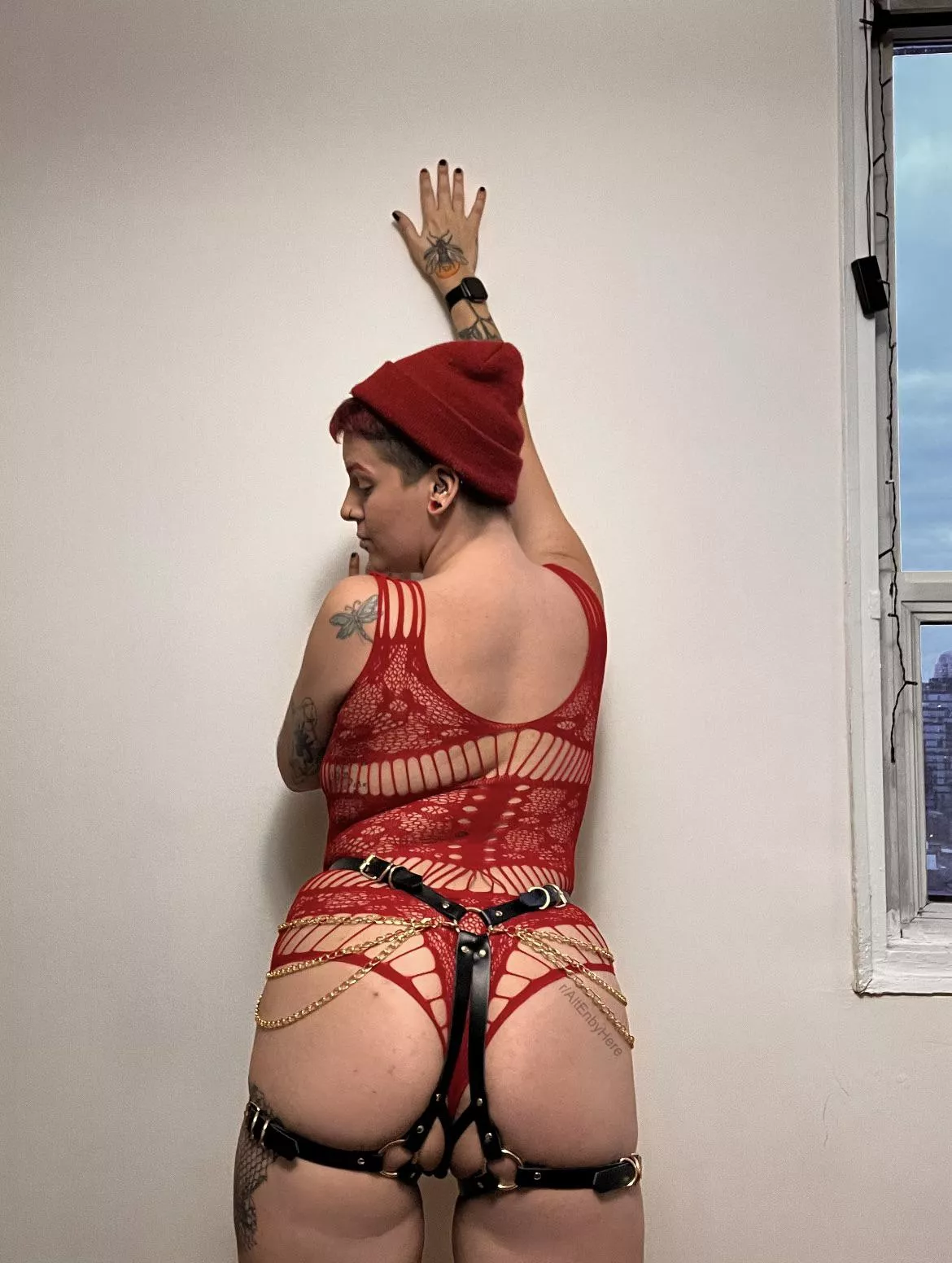 ISO a face to sit on