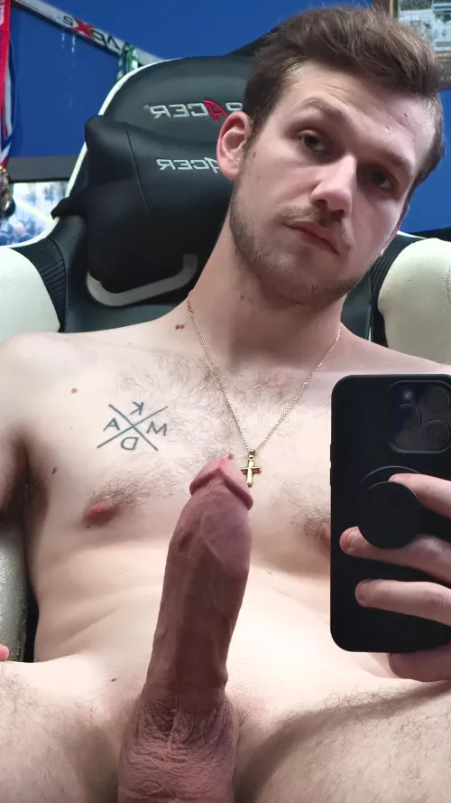 it’s always the LATE bird, right ?