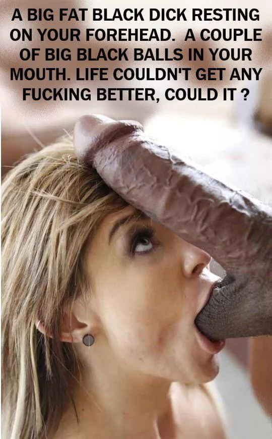 Let me suck those balls