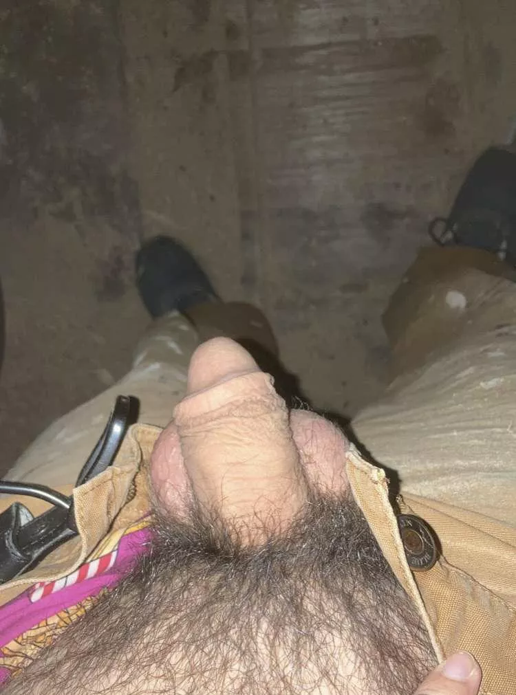 Looking for some help