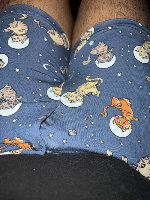 Love these space cats!