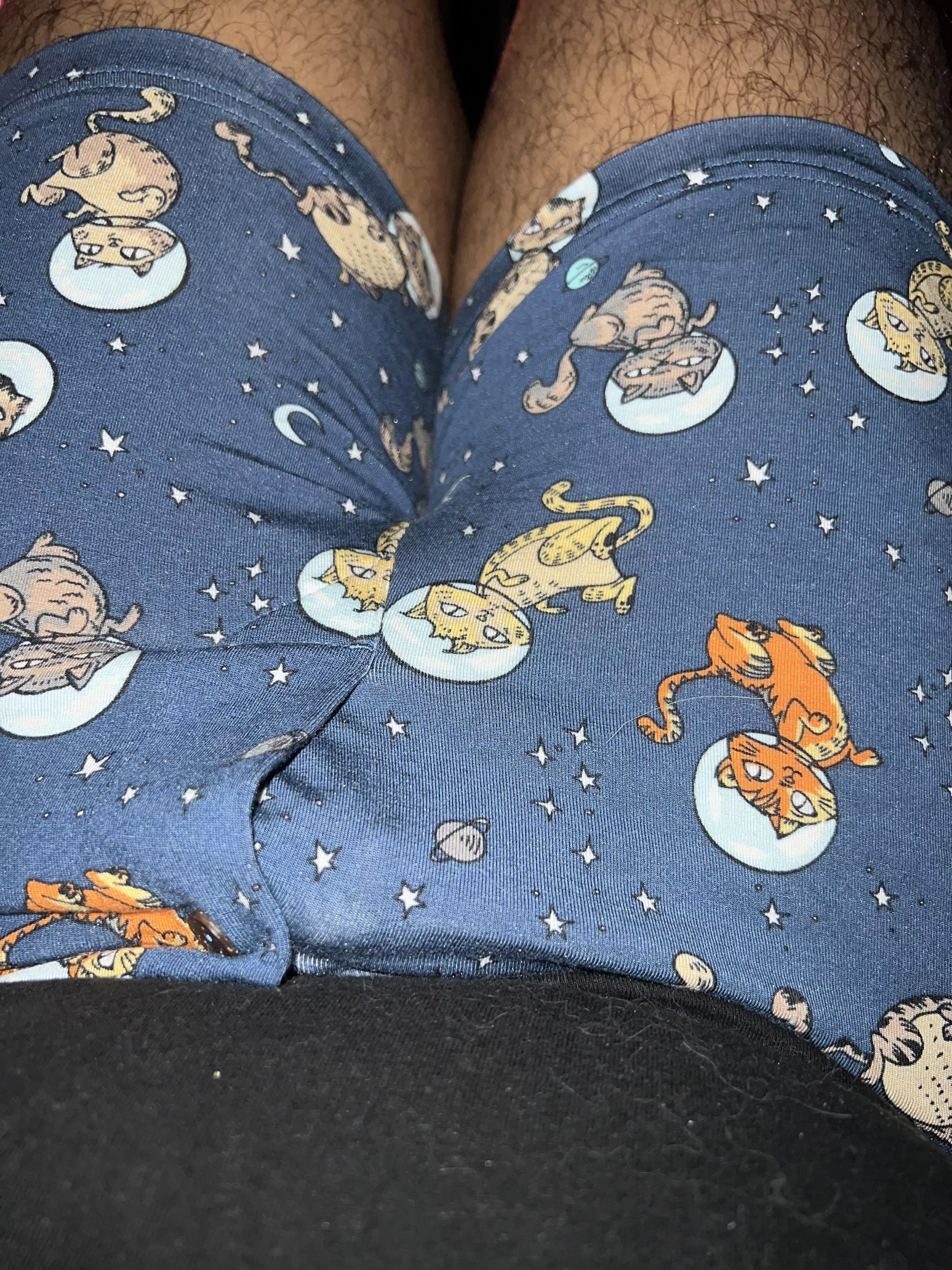 Love these space cats!