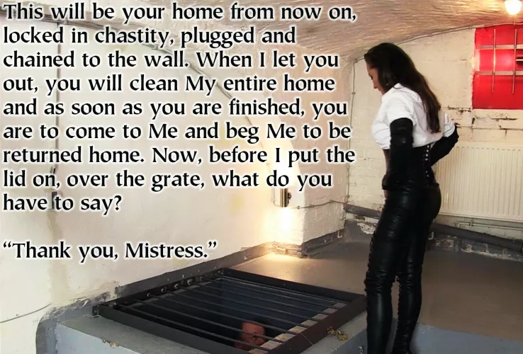 Married to each other for ten wonderful years and, an unfortunate dalliance with a subordinate transformed everything. To prevent any further extra-curricular activities, She put him in chastity. Then hired the workmen.
