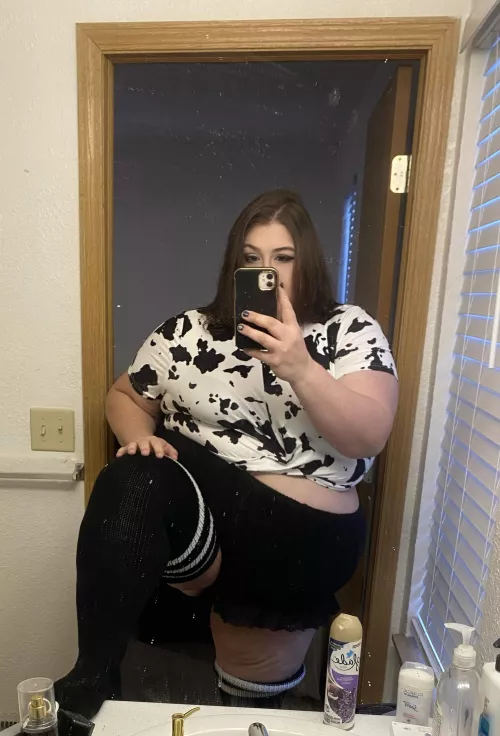 Moo moo who’s feeding me?