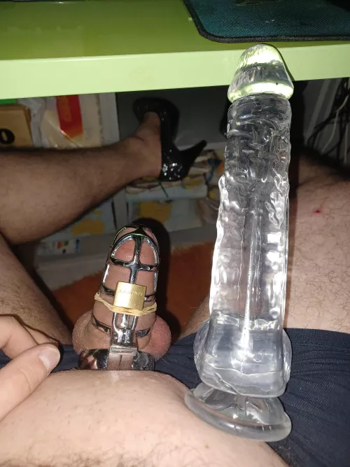 My locked up cock and my partner for the night