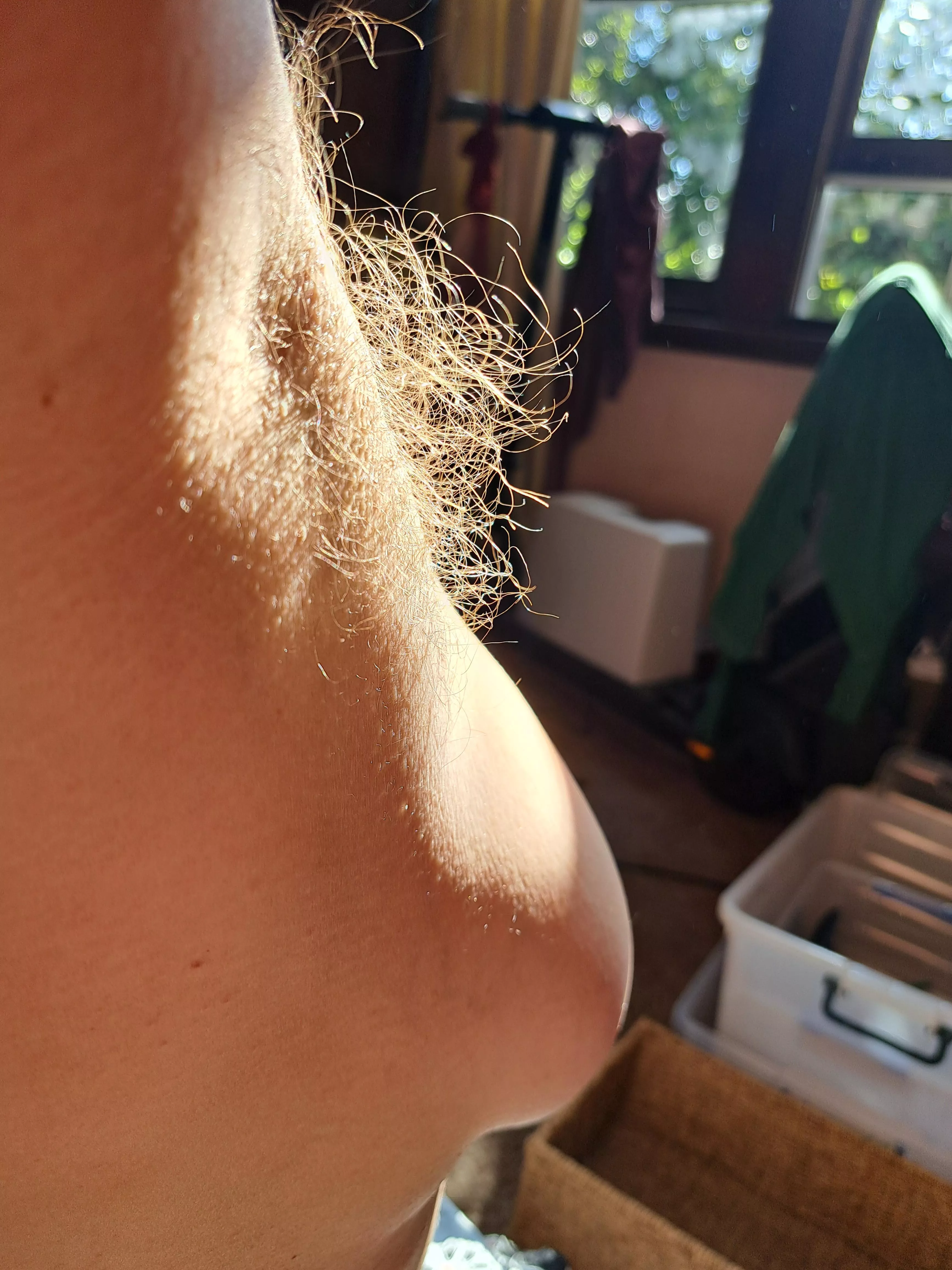 My wifes pits are hairyer than mine 😃