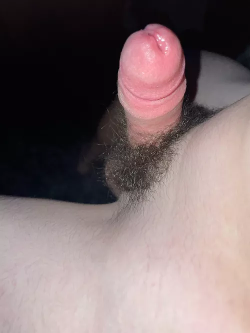 Not terribly large or anything