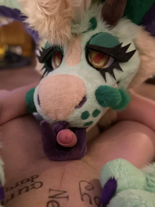 Pet Dragon, free use