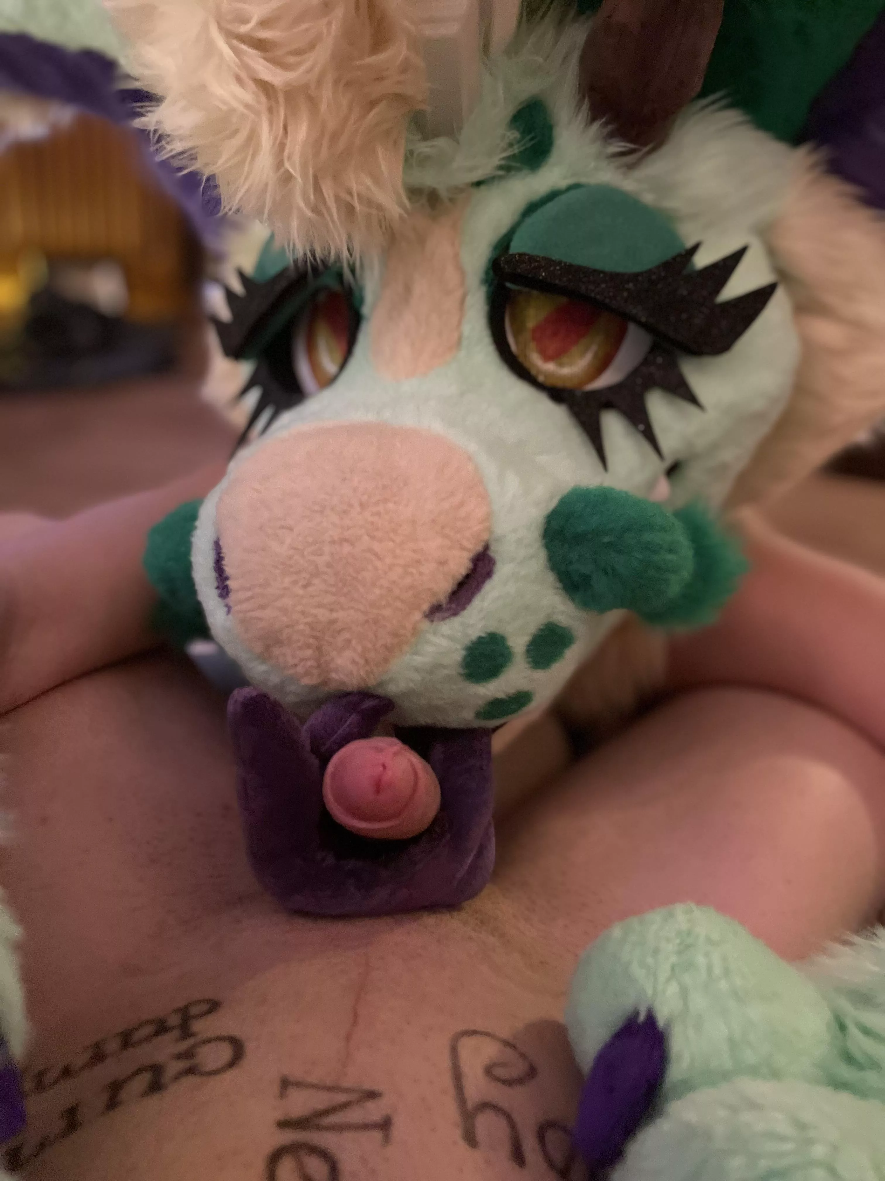 Pet Dragon, free use