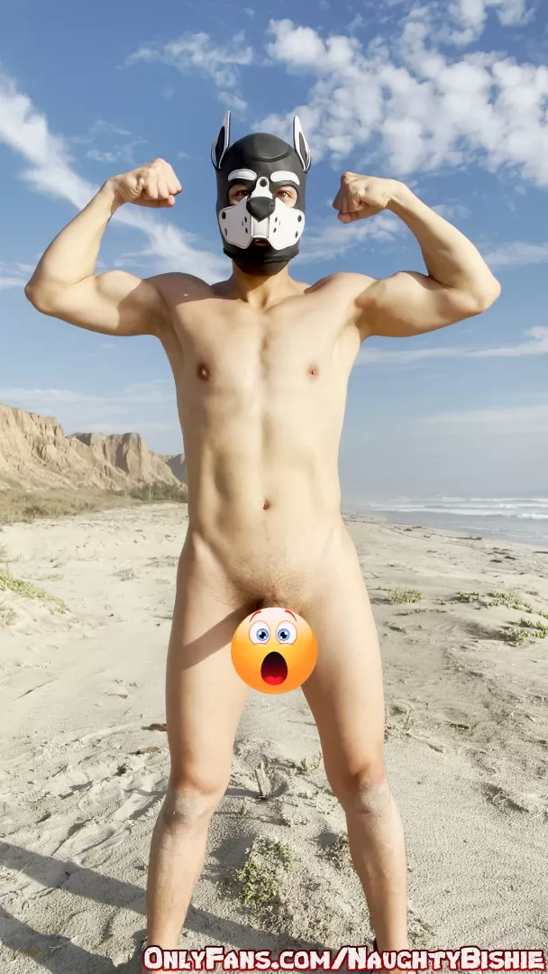 Pup flexes naked body at the beach!