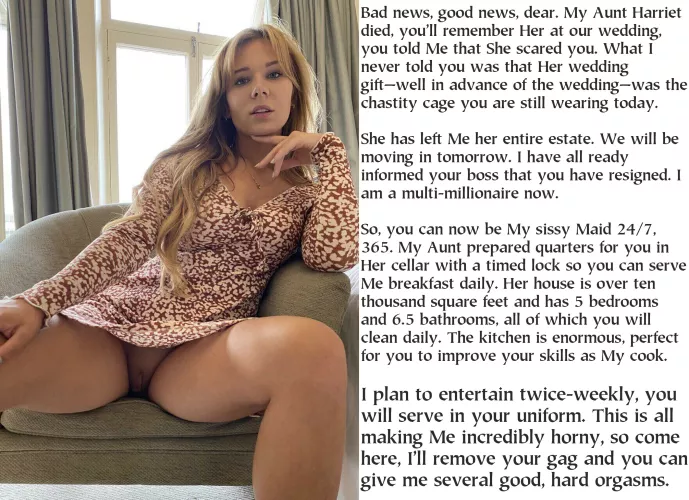 She had permitted his fantasies on odd weekends, allowing him to dress and mince around like a maid. She had just burned all of his male clothing.