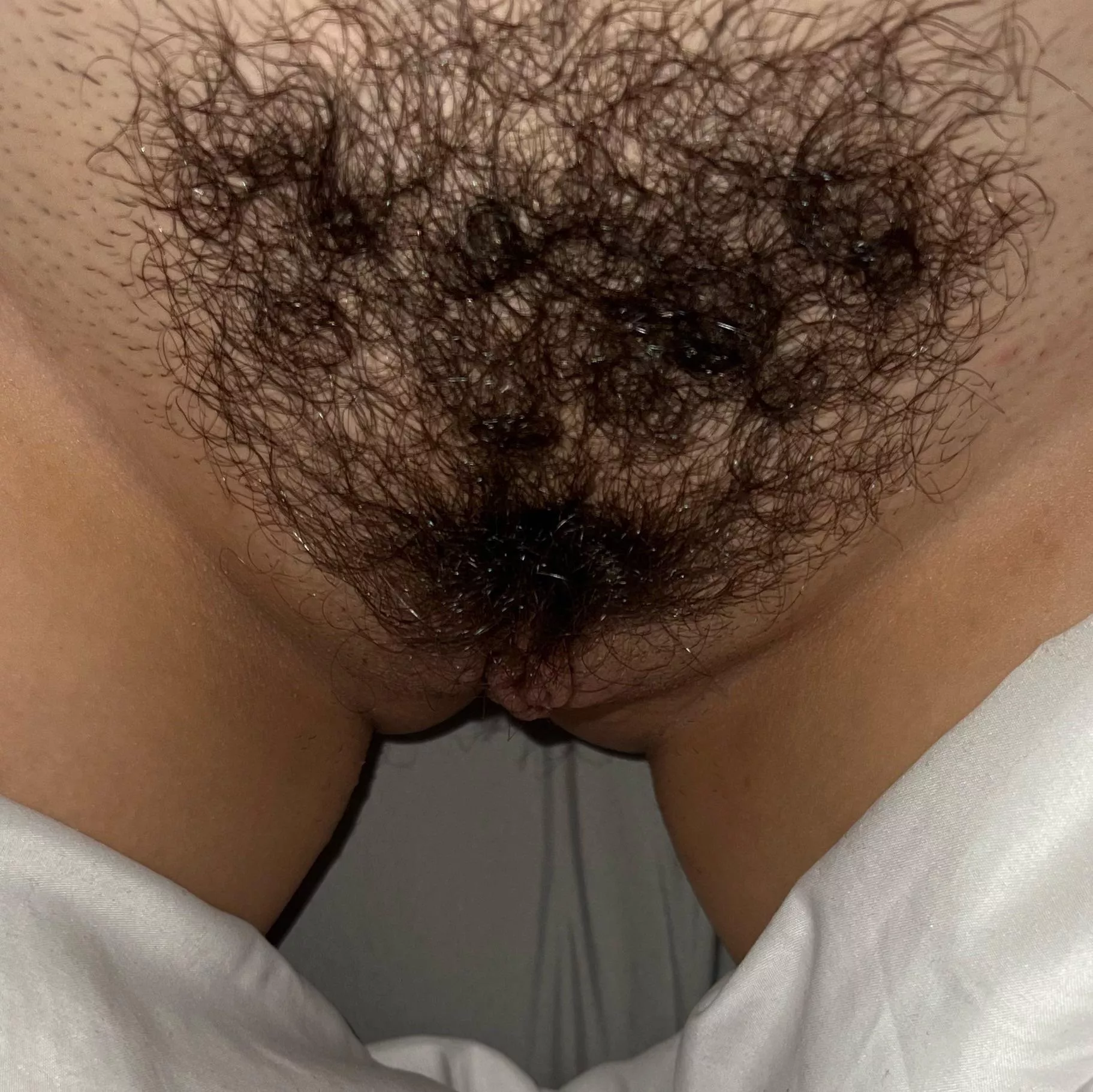 should I keep the bush?